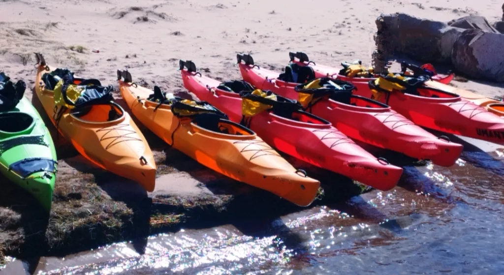 Coca Kayak Fleet