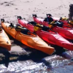 Coca Kayak Fleet