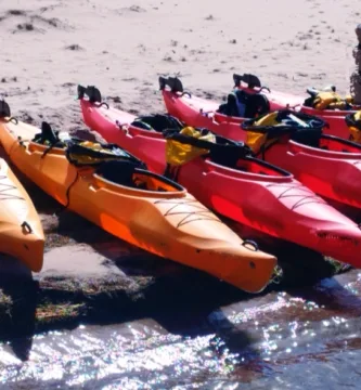 Coca Kayak Fleet