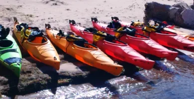 Coca Kayak Fleet